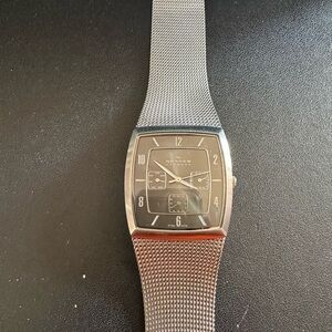 Skagen Silver Mesh Timepiece